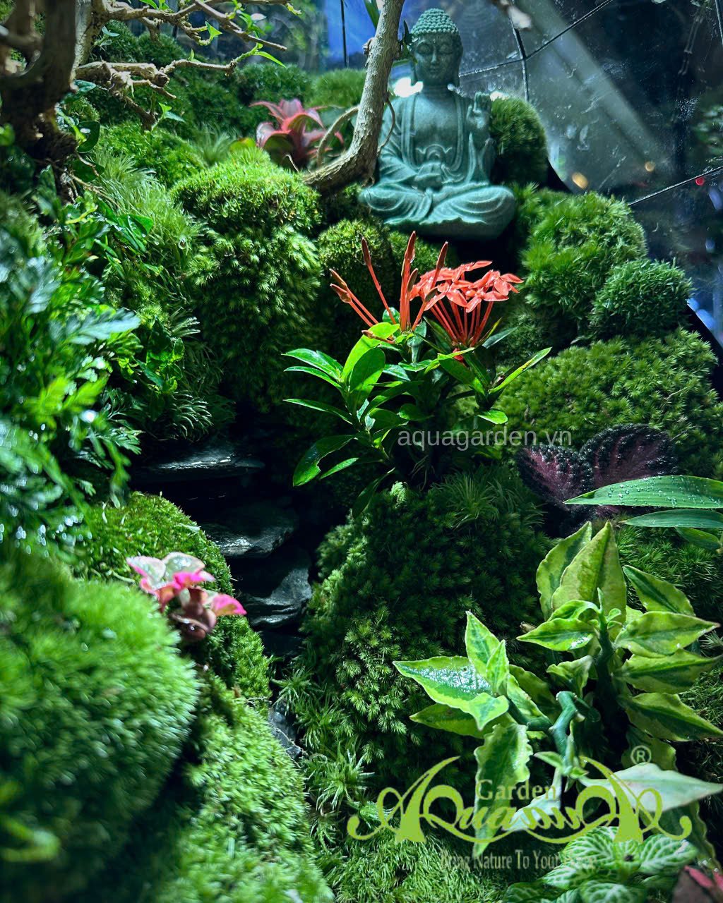 Terrarium 398 - “Tịnh Lộ Viên Minh” – Không gian thiền tĩnh | AquaGarden 2