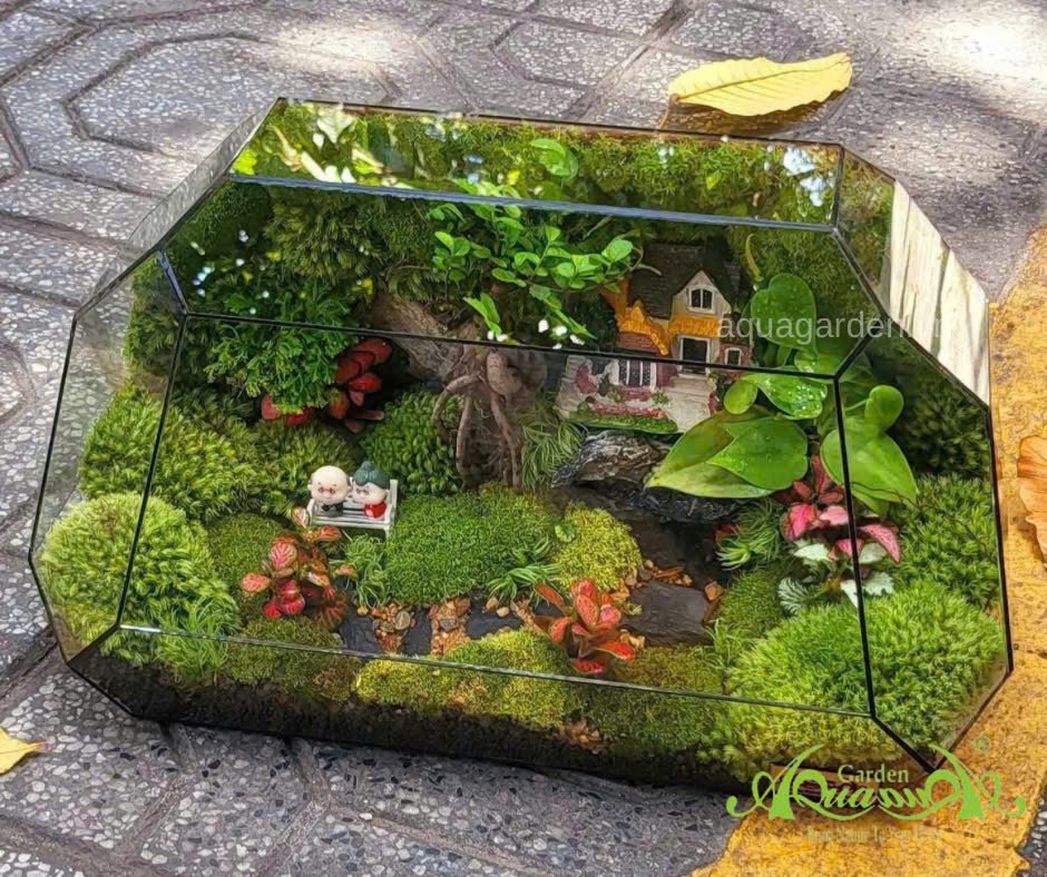 Terrarium 397 - “An Nhiên Nhà Mình” – món quà tặng tân gia ý nghĩa | AquaGarden