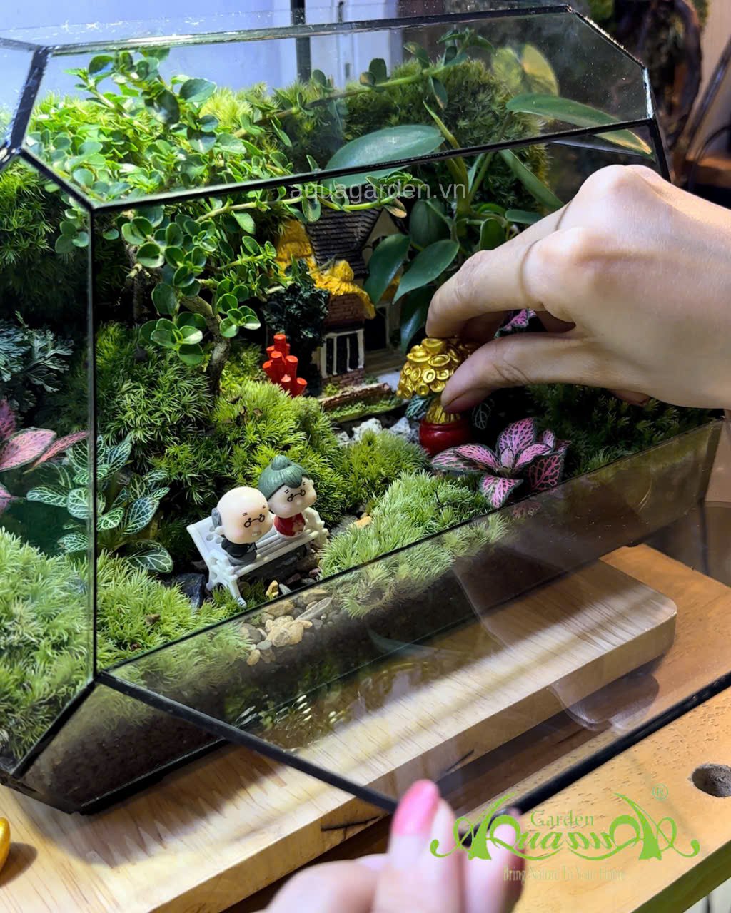 Terrarium 397 - “An Nhiên Nhà Mình” – món quà tặng tân gia ý nghĩa | AquaGarden 2