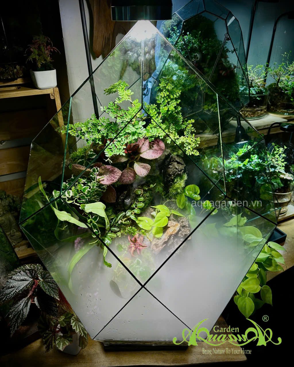 Terrarium 396 - Terrarium Kim Cương – Nghệ thuật thiên nhiên