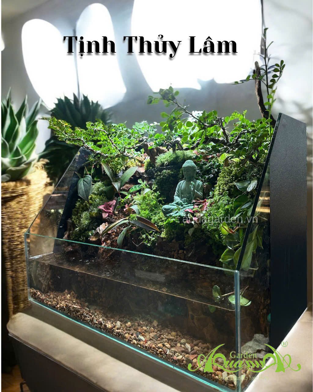 Terrarium 88 - Tịnh thủy lâm