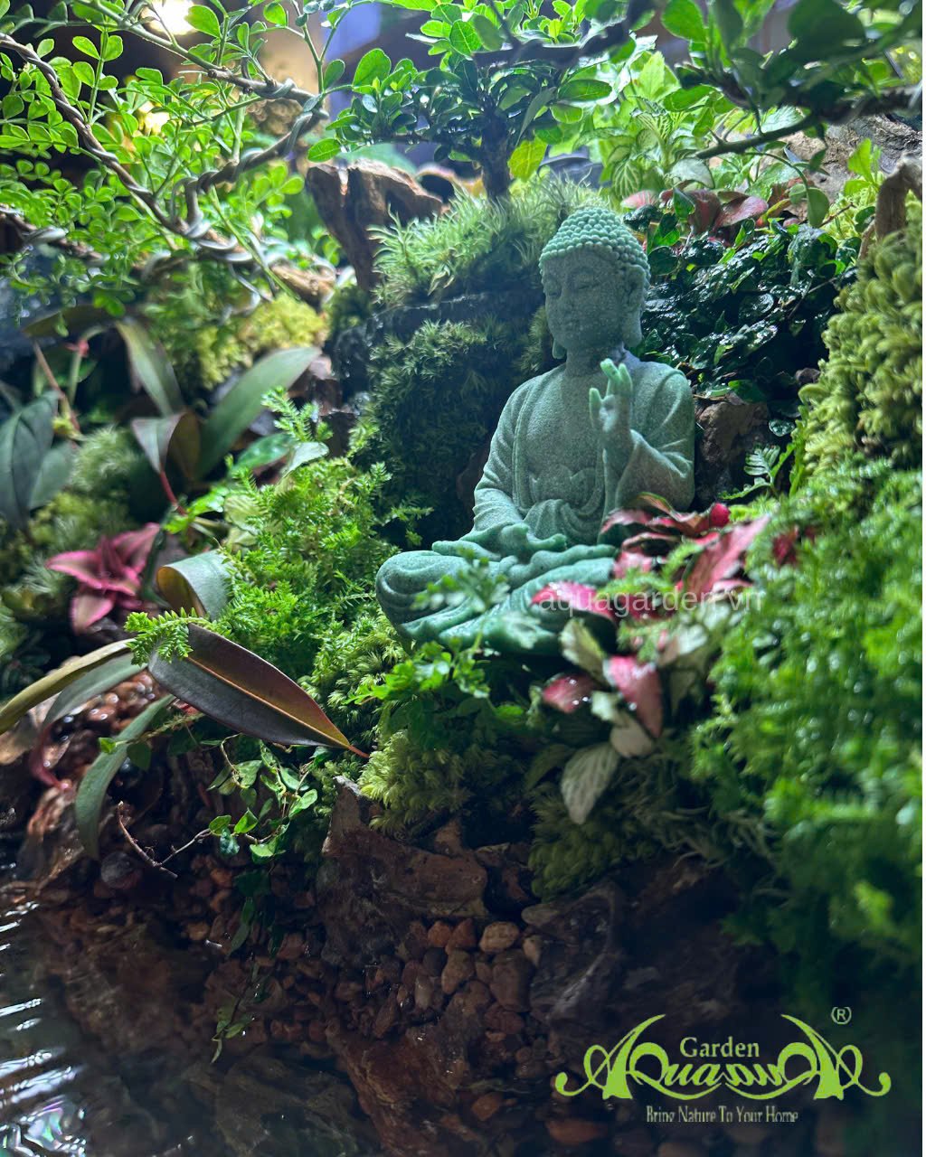 Terrarium 88 - Tịnh thủy lâm 3