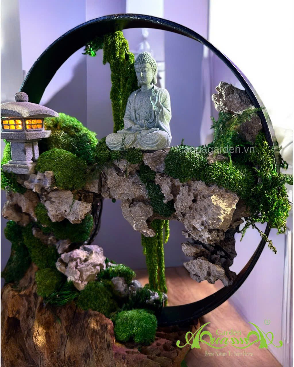 Terrarium 392 - Mộc Thiết Tâm Lai 2