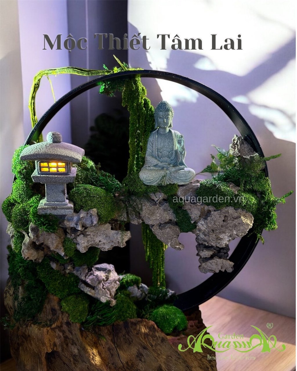 Terrarium 392 - Mộc Thiết Tâm Lai