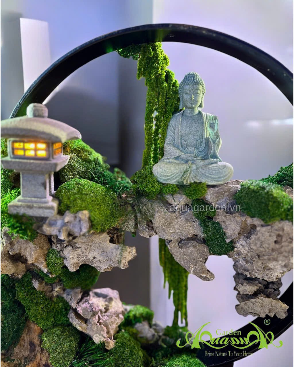 Terrarium 392 - Mộc Thiết Tâm Lai 3