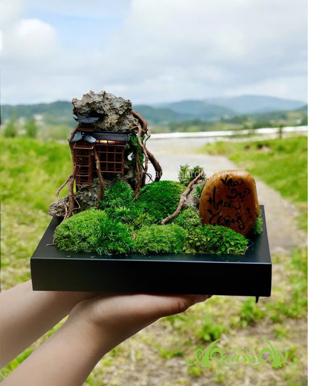 Terrarium 391 - Phong Vân Khai Lộ 3