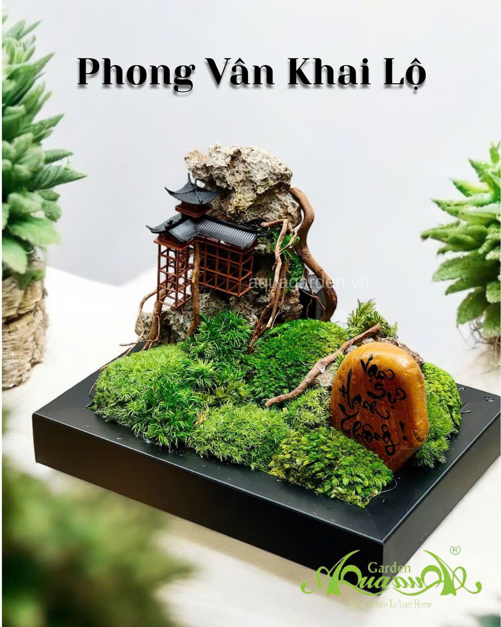 Terrarium 391 - Phong Vân Khai Lộ