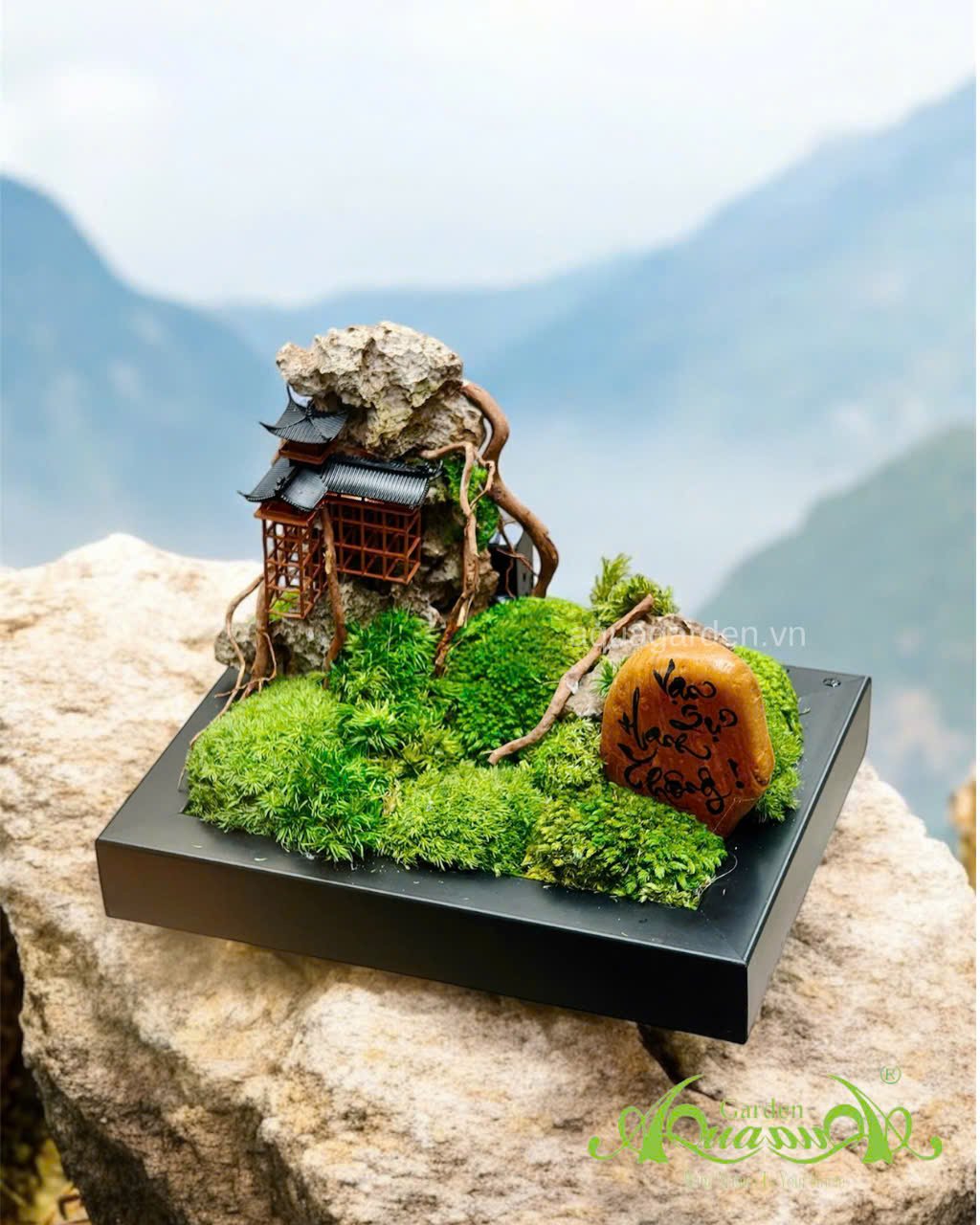 Terrarium 391 - Phong Vân Khai Lộ 2