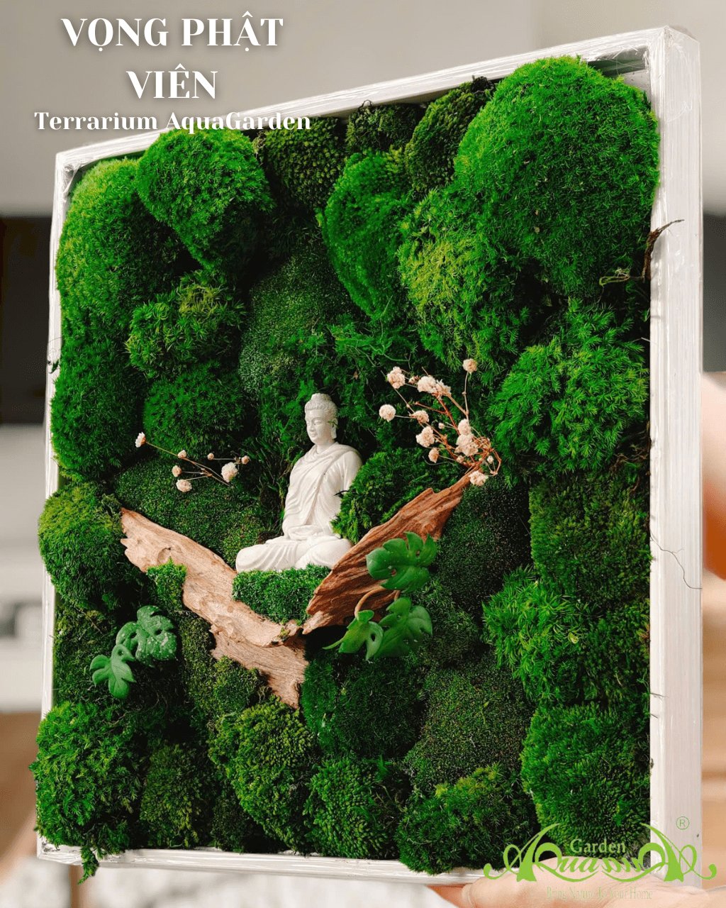 Terrarium 390 - Vọng Phật Viên 2