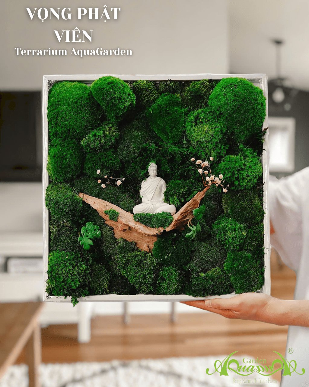 Terrarium 390 - Vọng Phật Viên