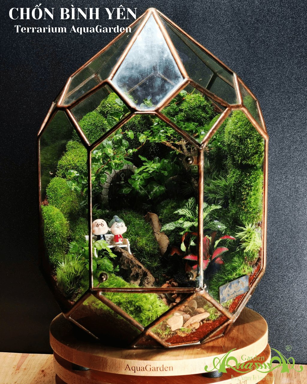 Terrarium 389 - Chốn Bình Yên