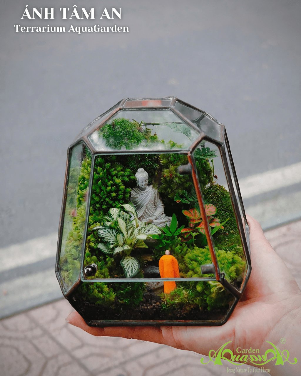 Terrarium 388 - Ánh Tâm An