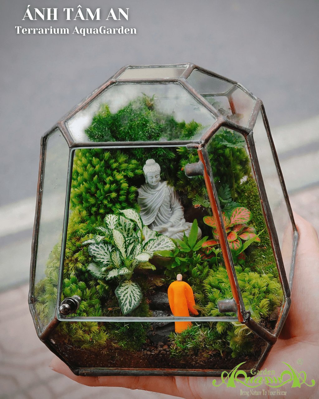 Terrarium 388 - Ánh Tâm An 2