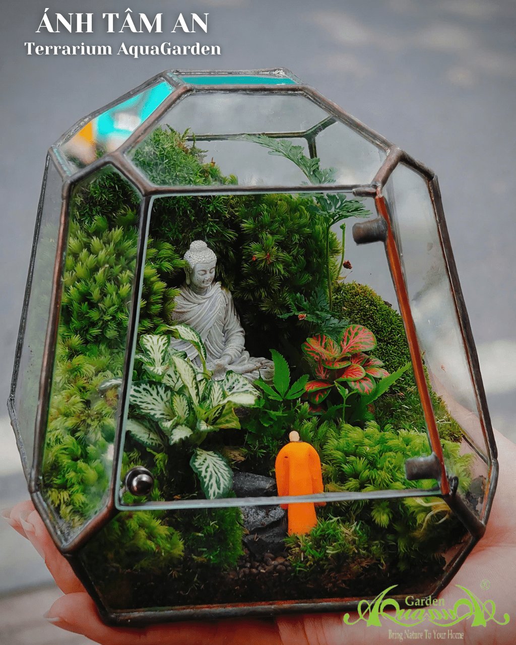 Terrarium 388 - Ánh Tâm An 3