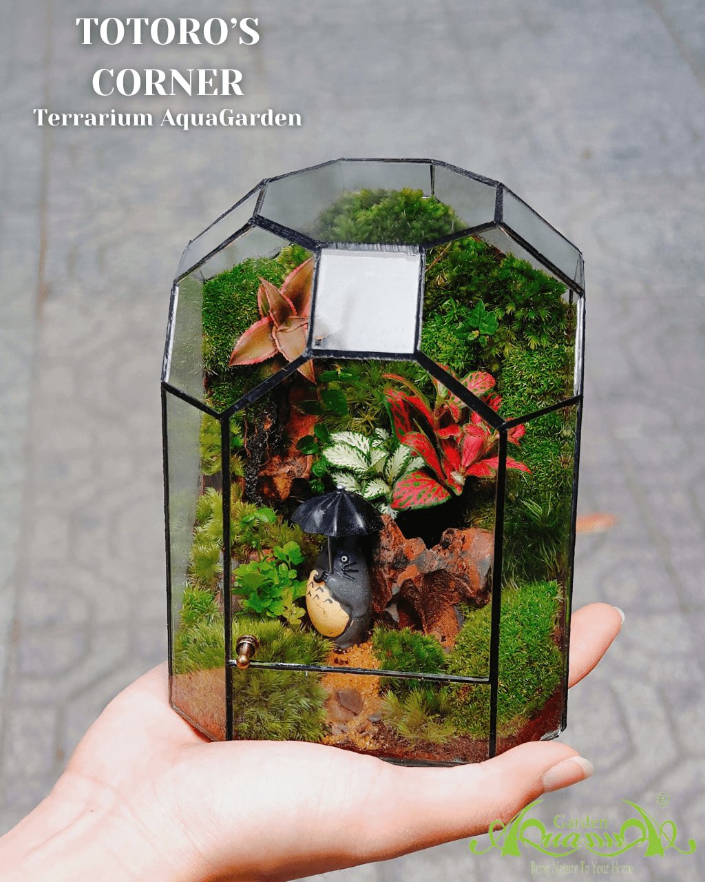 Terrarium 387 - Totoro’s Corner 2