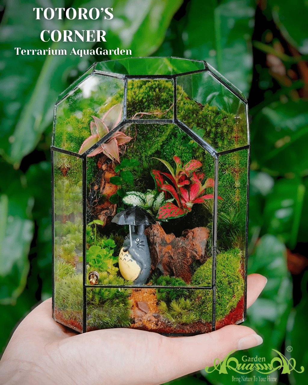 Terrarium 387 - Totoro’s Corner