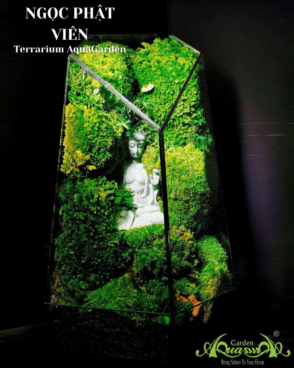 Terrarium 385 - Ngọc Phật Viên