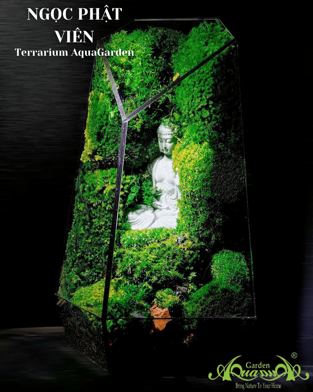 Terrarium 385 - Ngọc Phật Viên 2