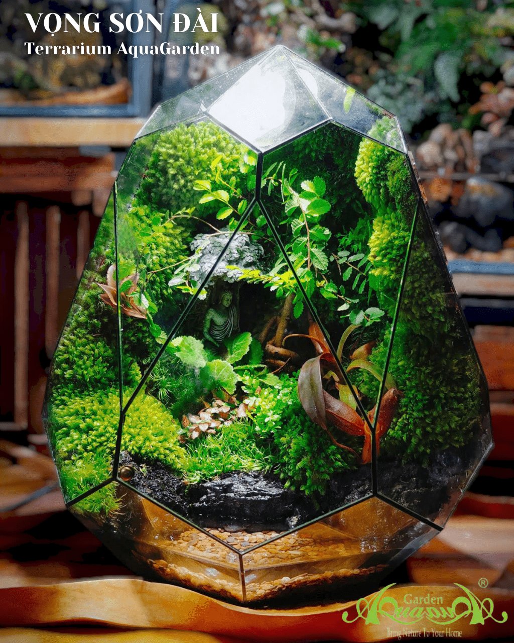 Terrarium 383 - Vọng Sơn Đài