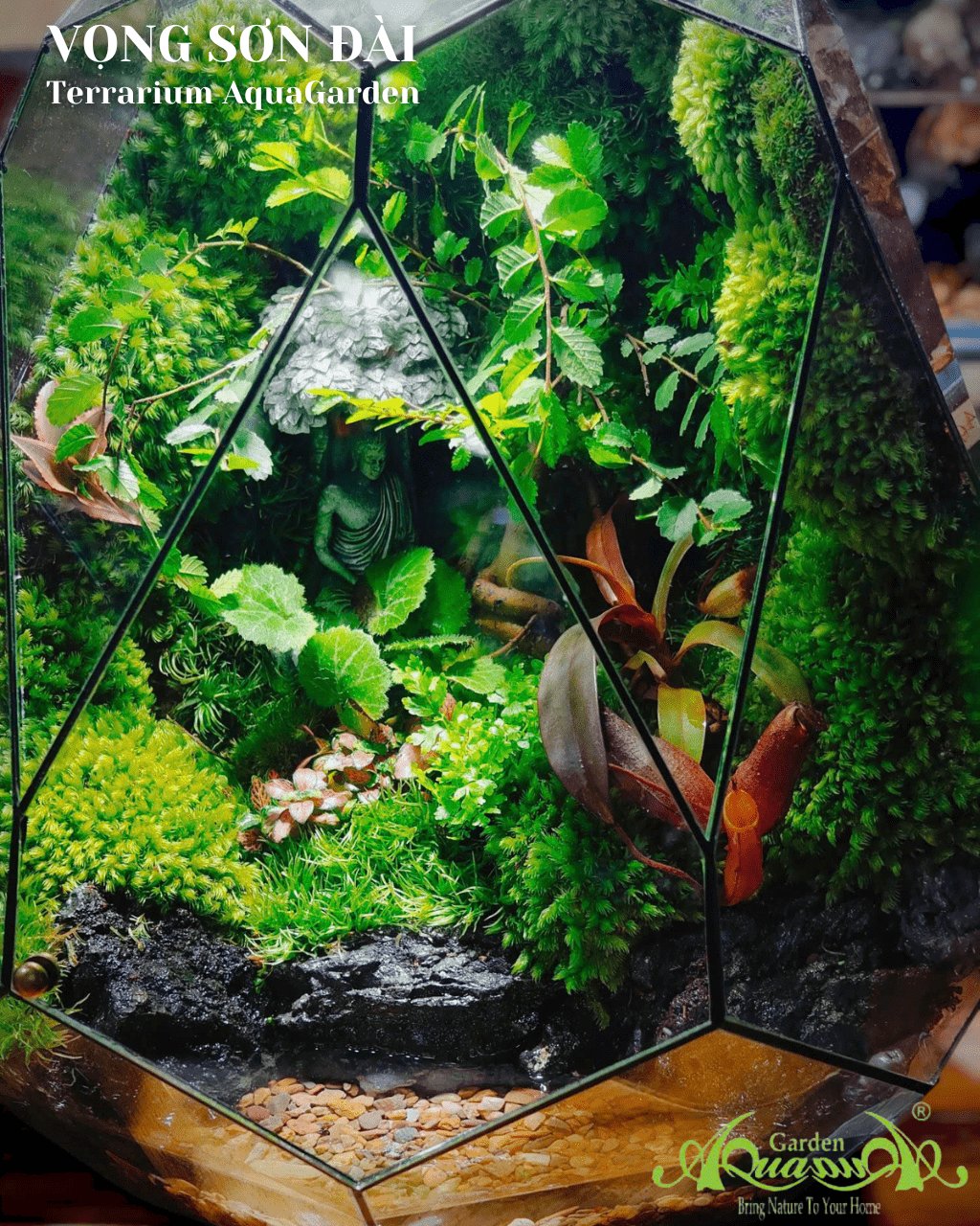 Terrarium 383 - Vọng Sơn Đài 3