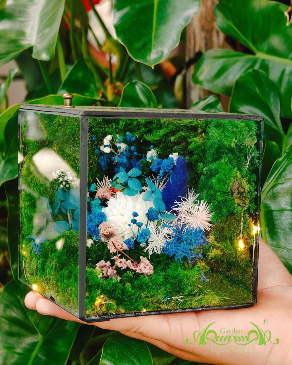 Terrarium 382 - The Moss Cabinet