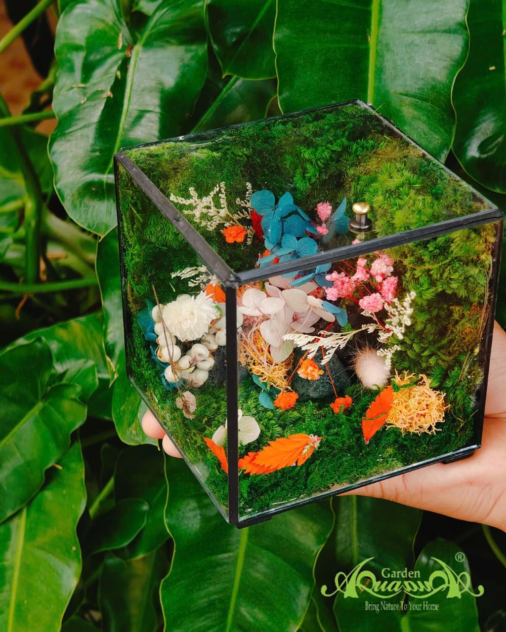 Terrarium 382 - The Moss Cabinet 3
