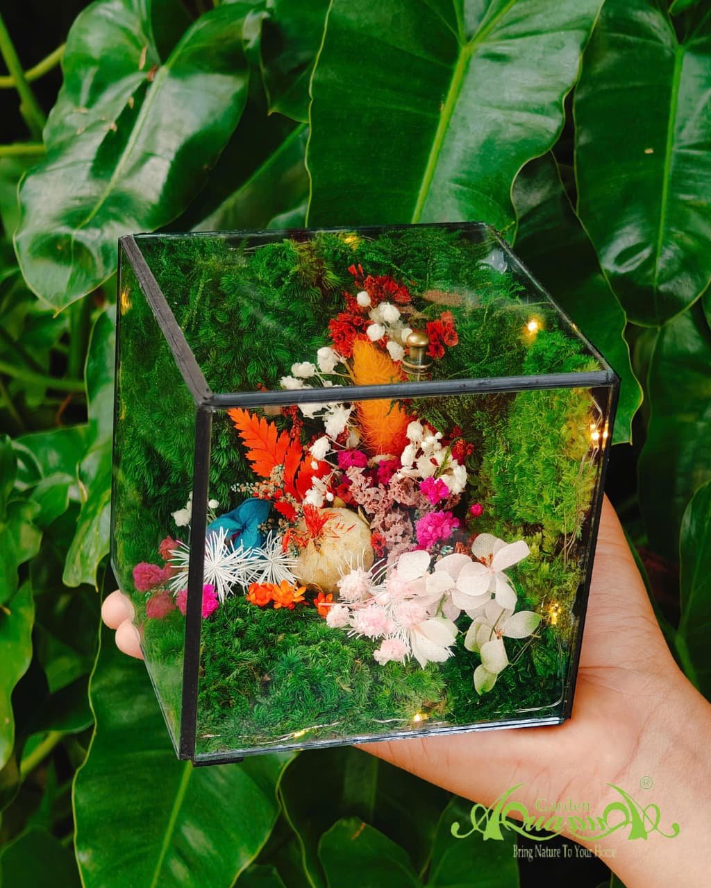 Terrarium 382 - The Moss Cabinet 2