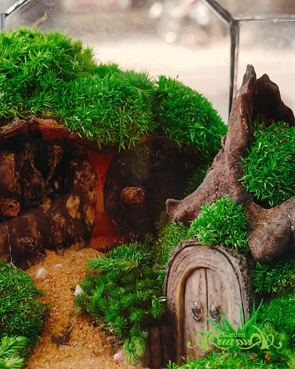 Terrarium 381 - Huyền Môn 2
