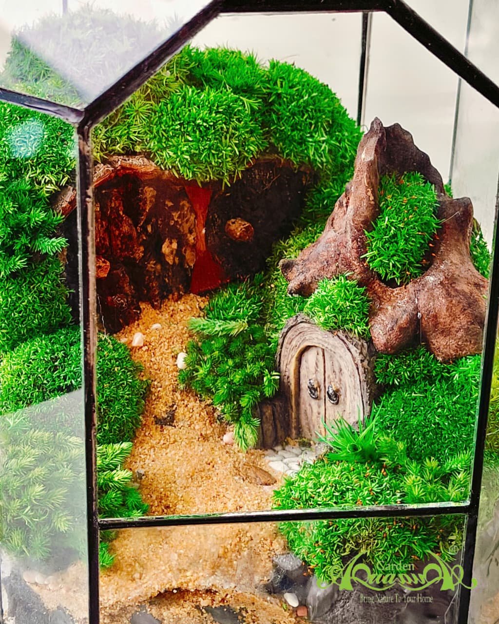 Terrarium 381 - Huyền Môn 3