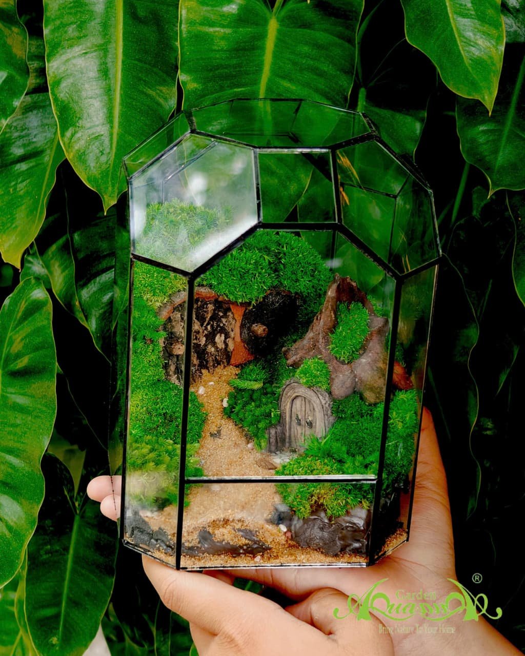 Terrarium 381 - Huyền Môn