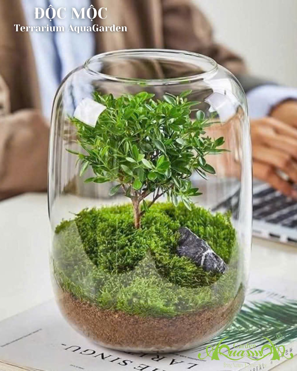 Độc Mộc