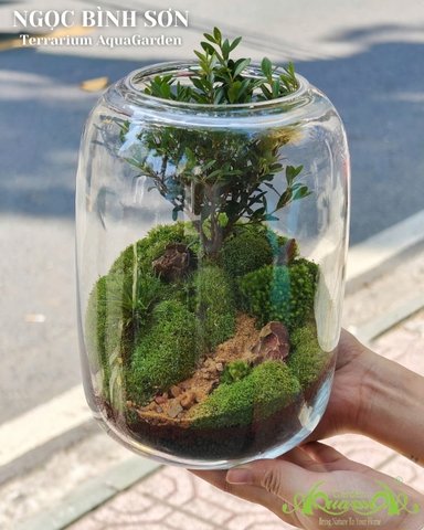 Độc Mộc 3