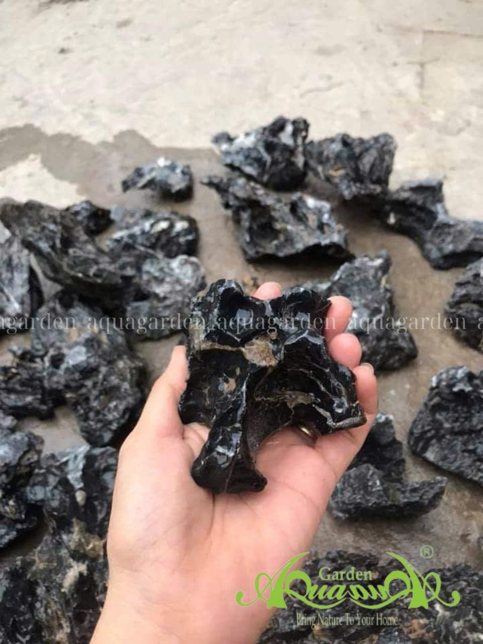 Đá các loại - Phụ Kiện Trồng Terrarium