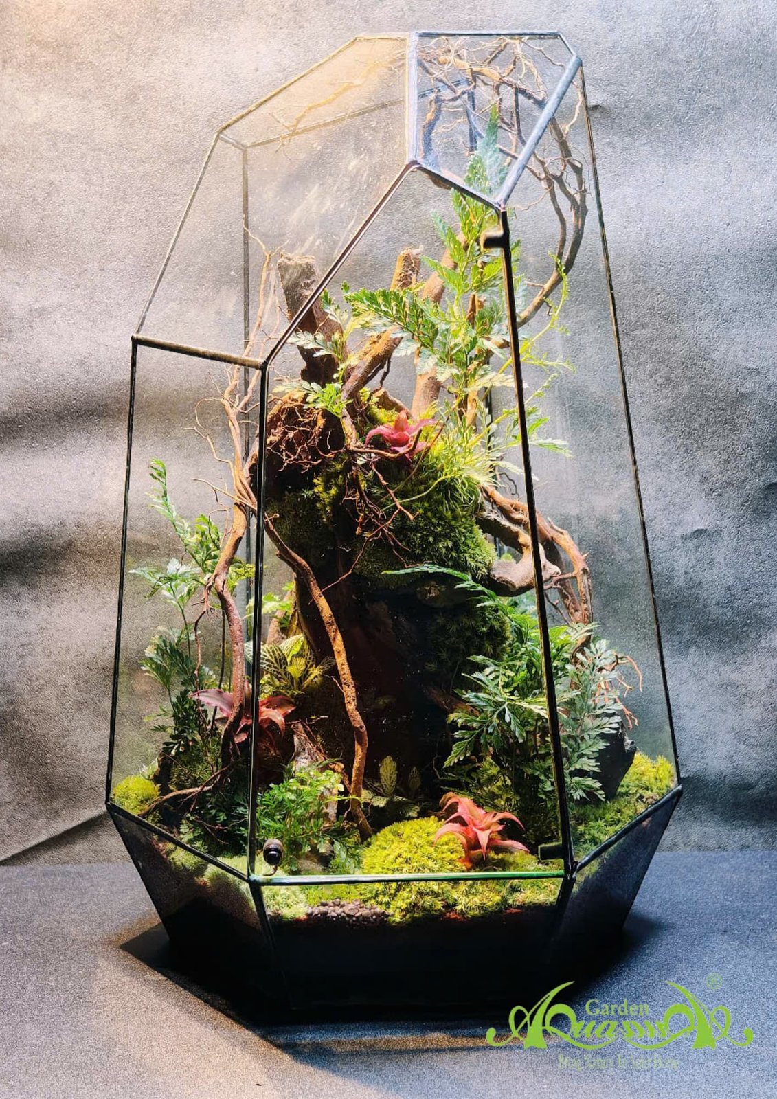 Terrarium 375 - Vườn Tiên Cổ Tích
