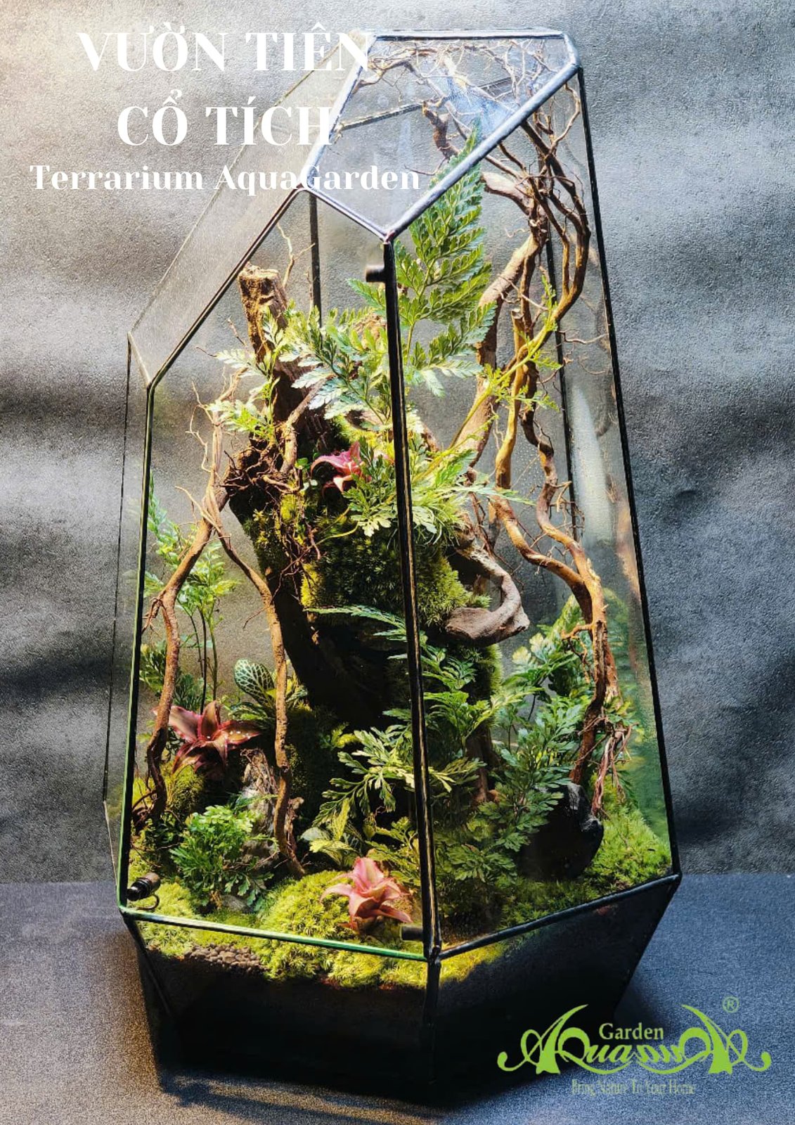Terrarium 375 - Vườn Tiên Cổ Tích 2