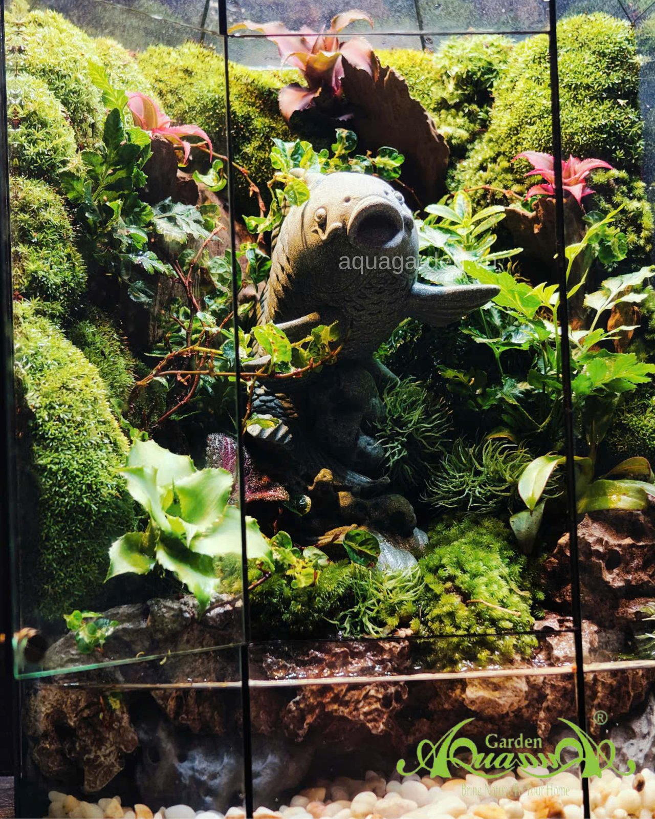 Terrarium 364 - Symphony of the Deep