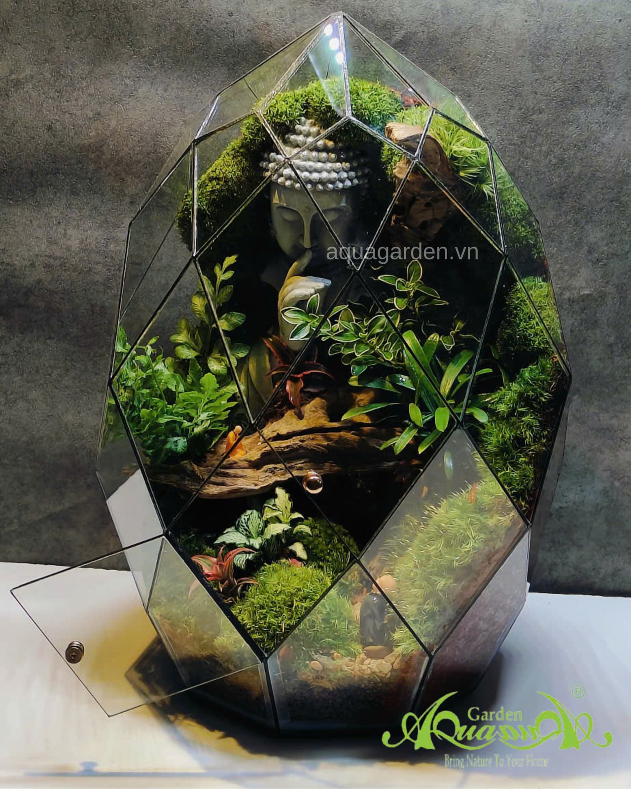 Terrarium 363 - Harmony in Reflection