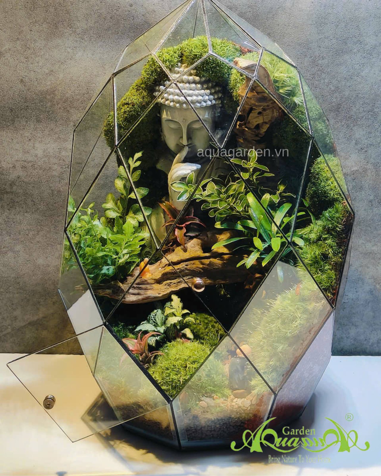 Terrarium 363 - Harmony in Reflection 2
