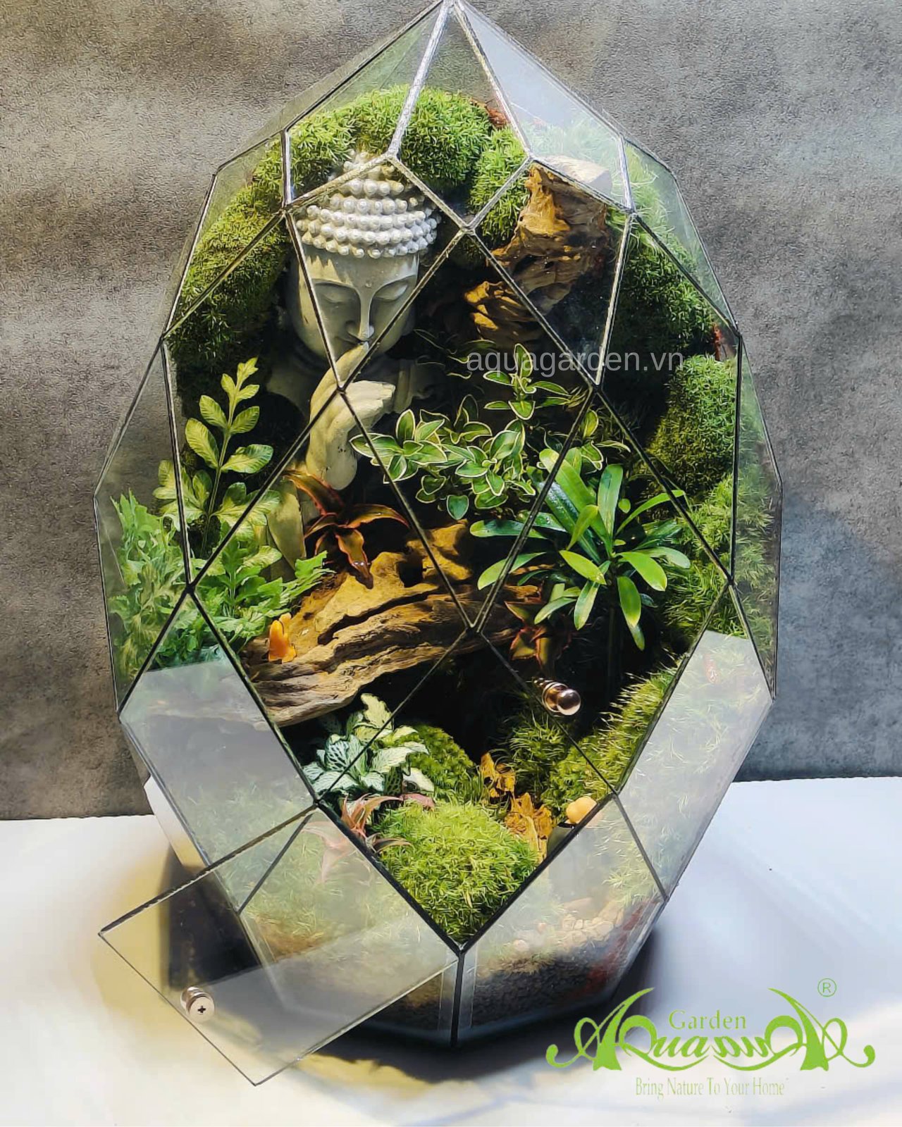 Terrarium 363 - Harmony in Reflection 3