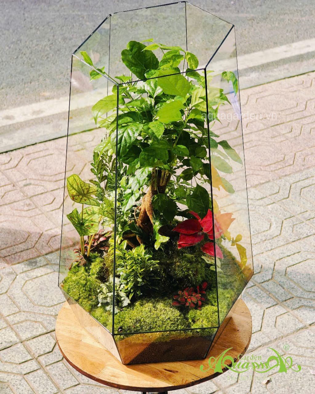 Terrarium 361 - Blooming Serenity 2