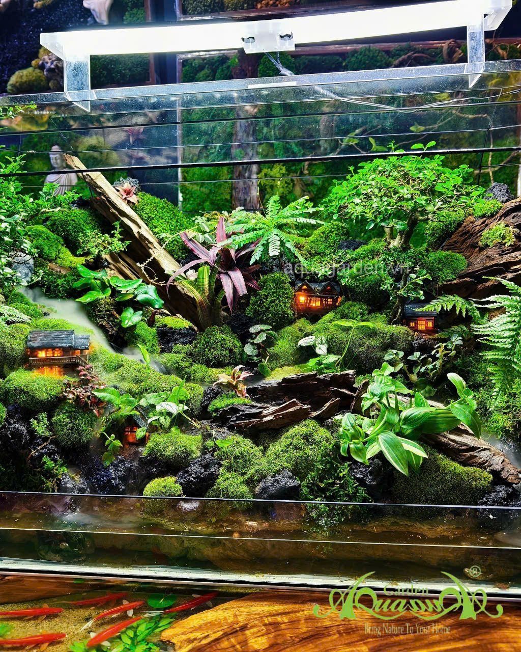 Terrarium 360 - Khu vườn Dưỡng thần