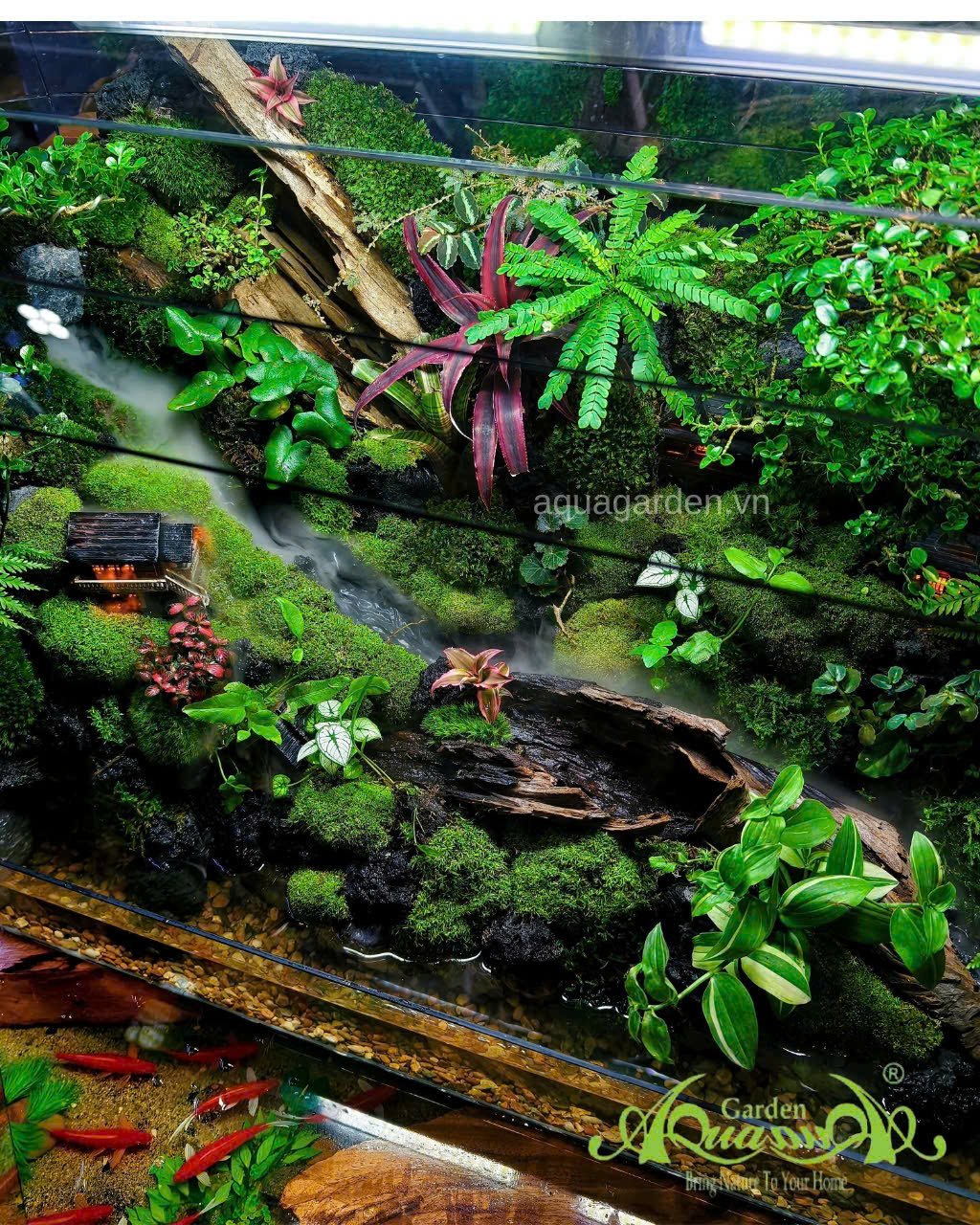 Terrarium 360 - Khu vườn Dưỡng thần 2