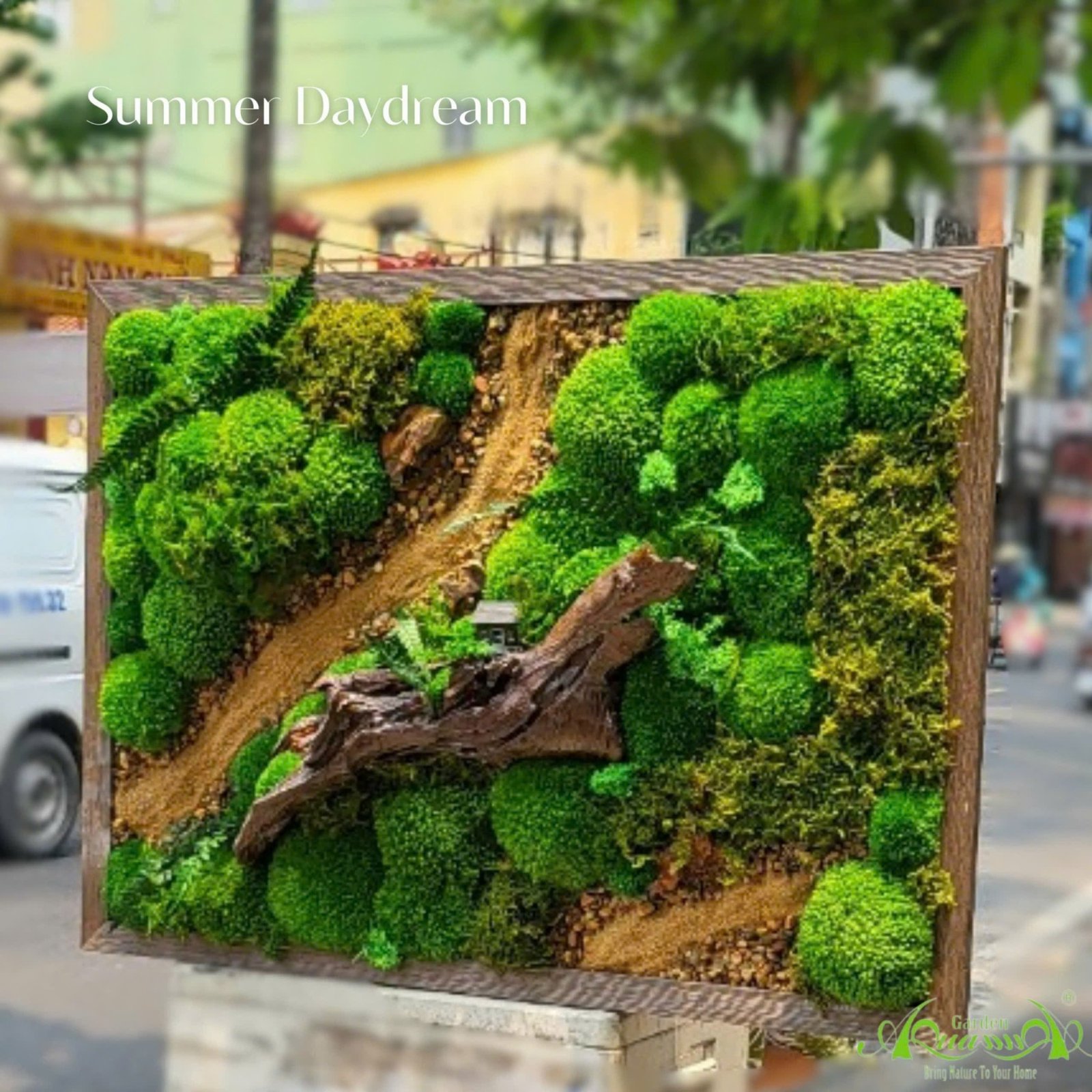 Tranh rêu bảo tồn - Summer Daydream 3