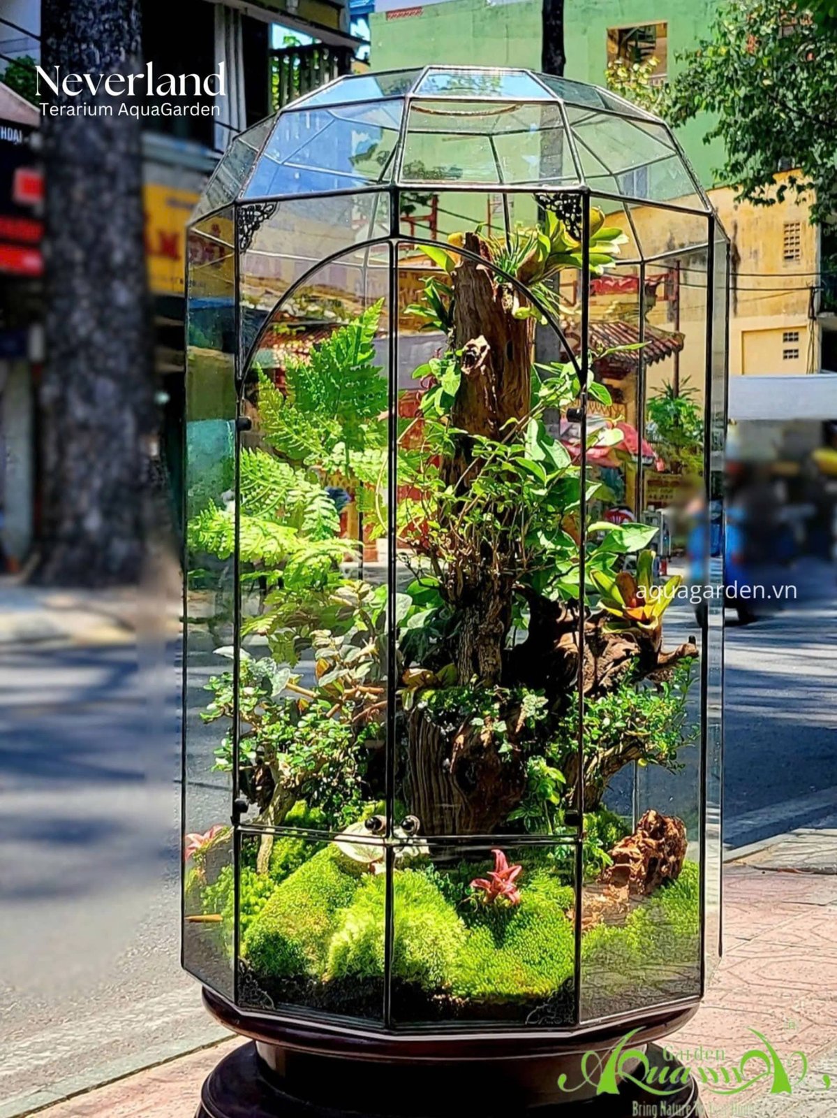 Terrarium 345 - Neveland