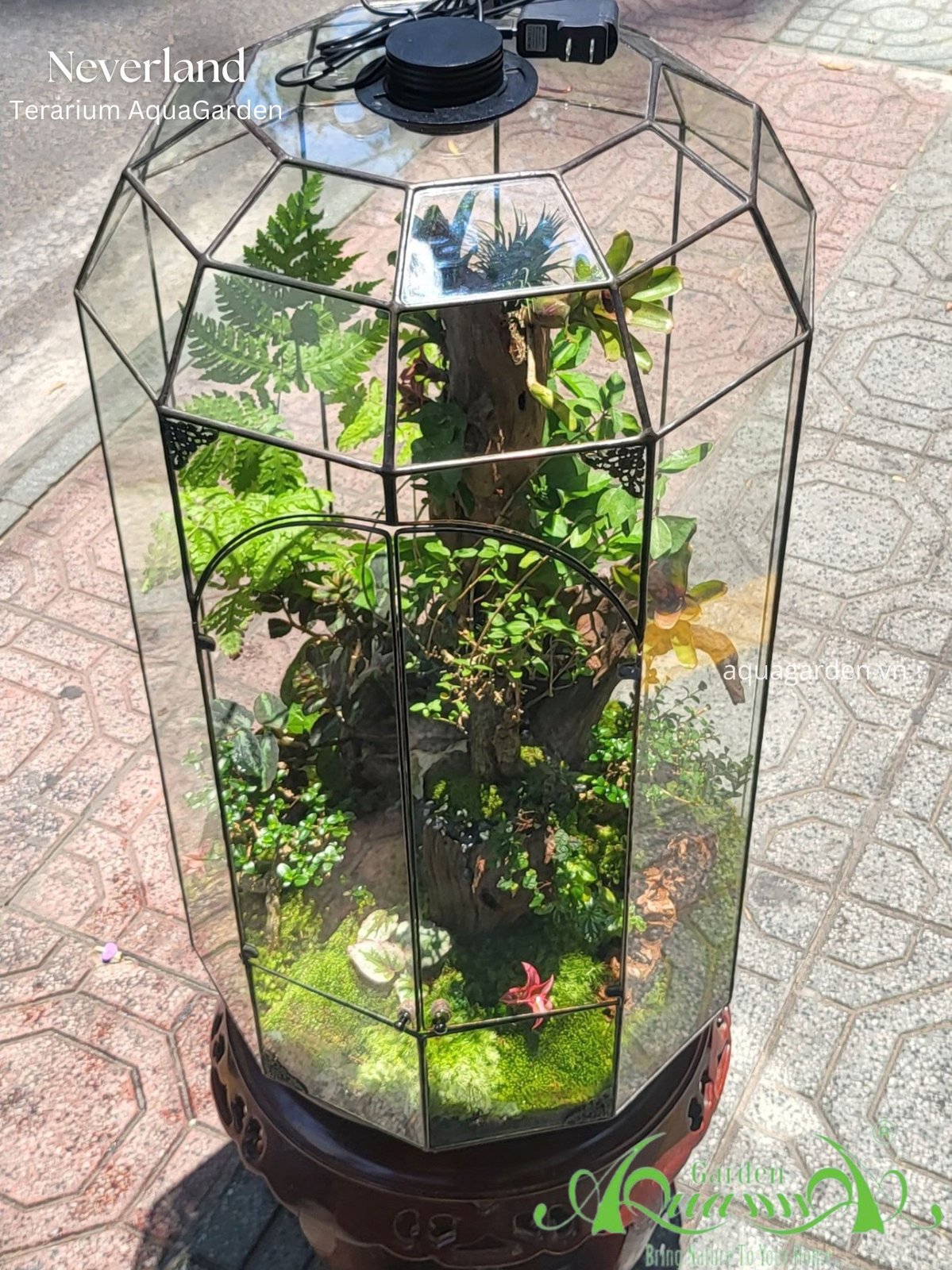 Terrarium 345 - Neveland 3