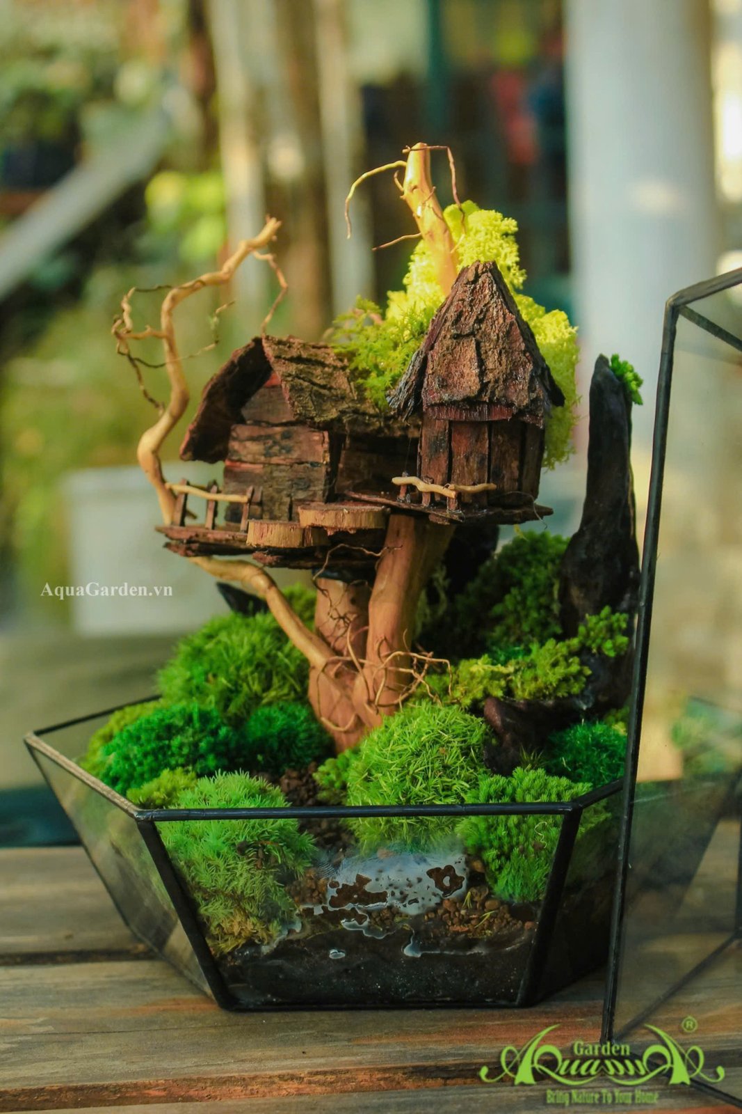 Terrarium 24- Ngôi nhà trên mây