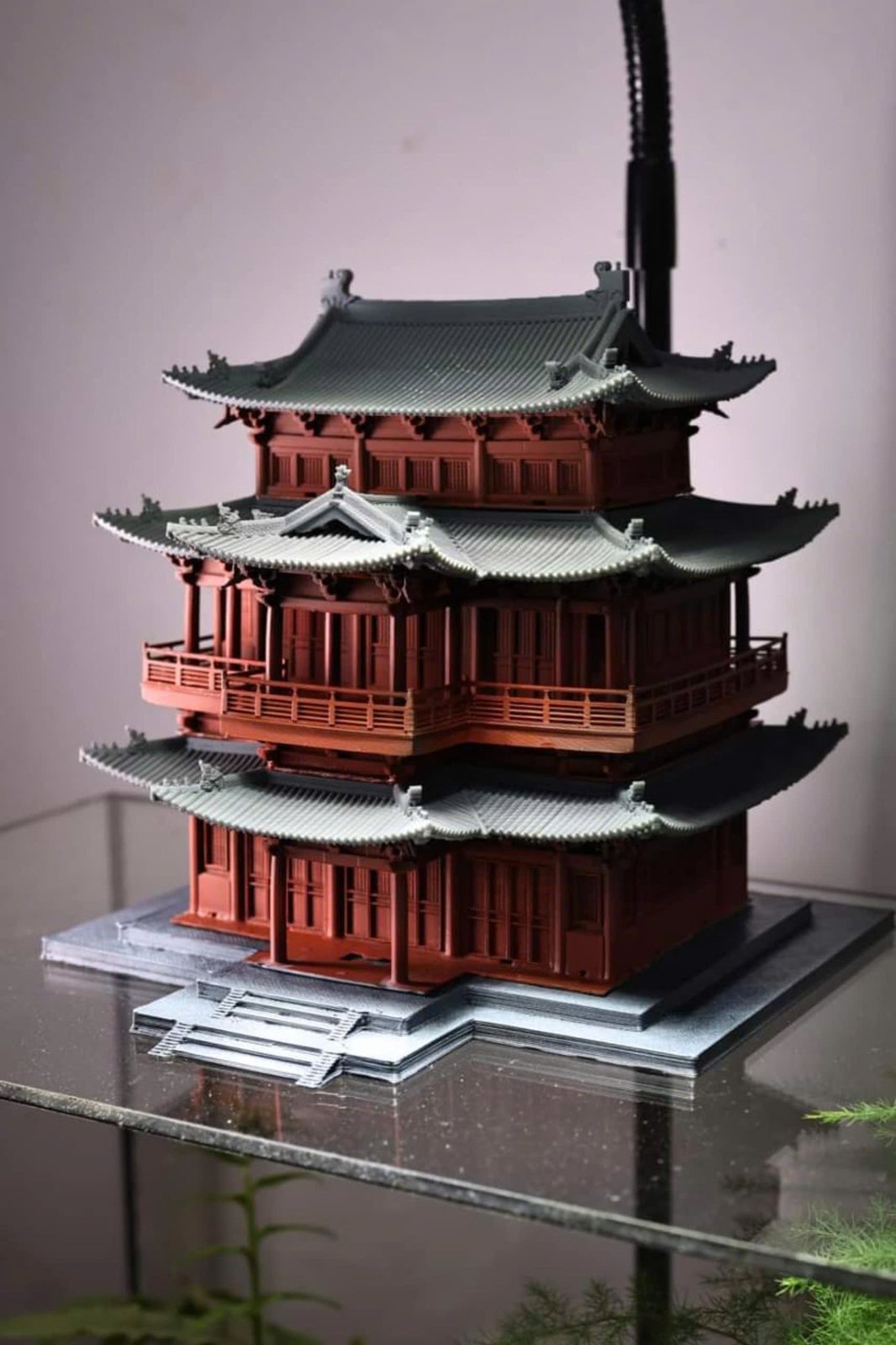 Triều căn đình cổ - Phụ Kiện Aquagarden