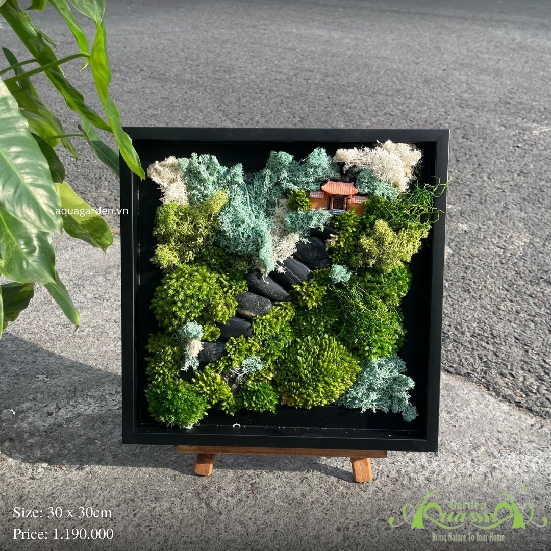 Terrarium 37 - độc vãng nhân gian