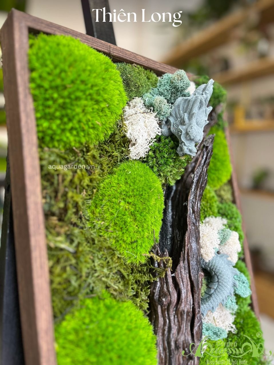 Tranh rêu bảo tồn - Thiên Long 2