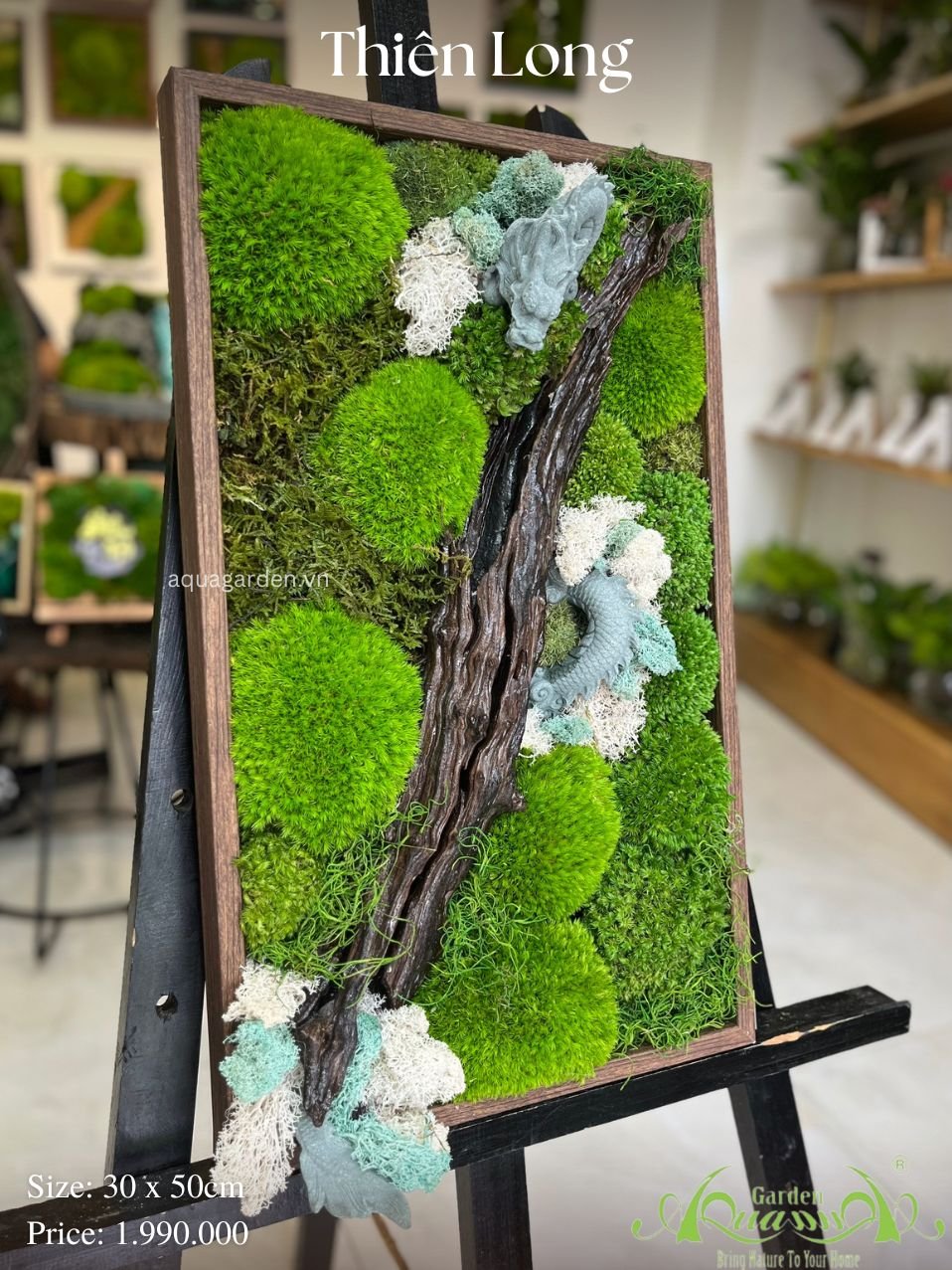 Tranh rêu bảo tồn - Thiên Long 3